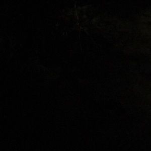 Meet your Posher, Xavier